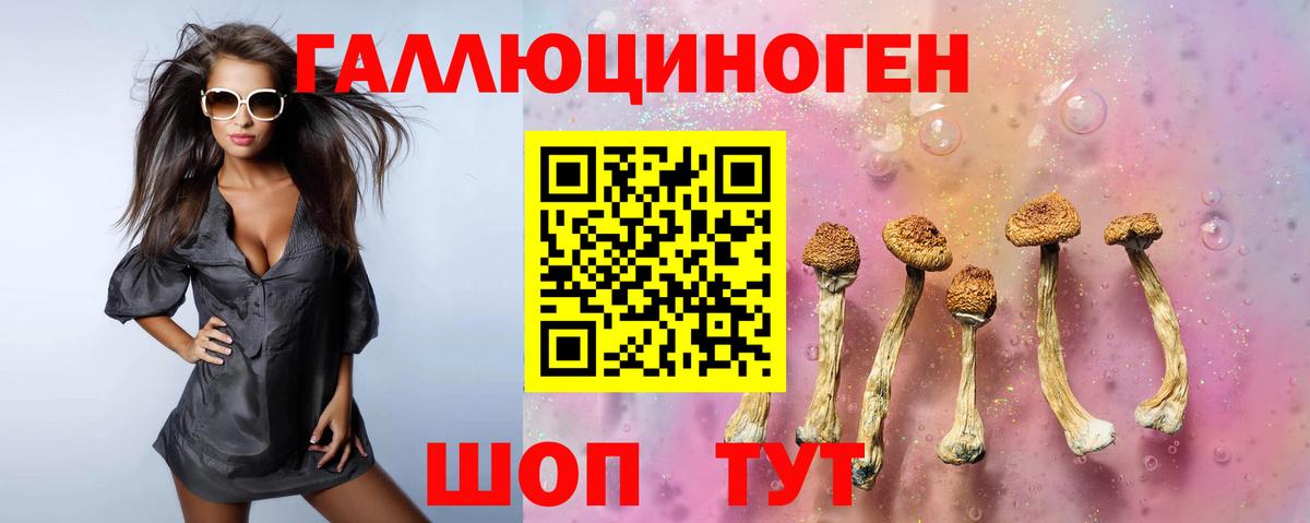 Псилоцибиновые грибы Magic Shrooms  купить  цена  Воркута  Вход с VPN 